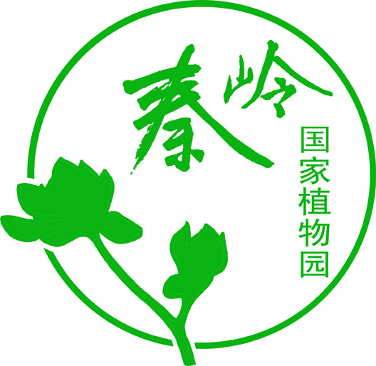 秦岭国家植物园logo及部分vi设计