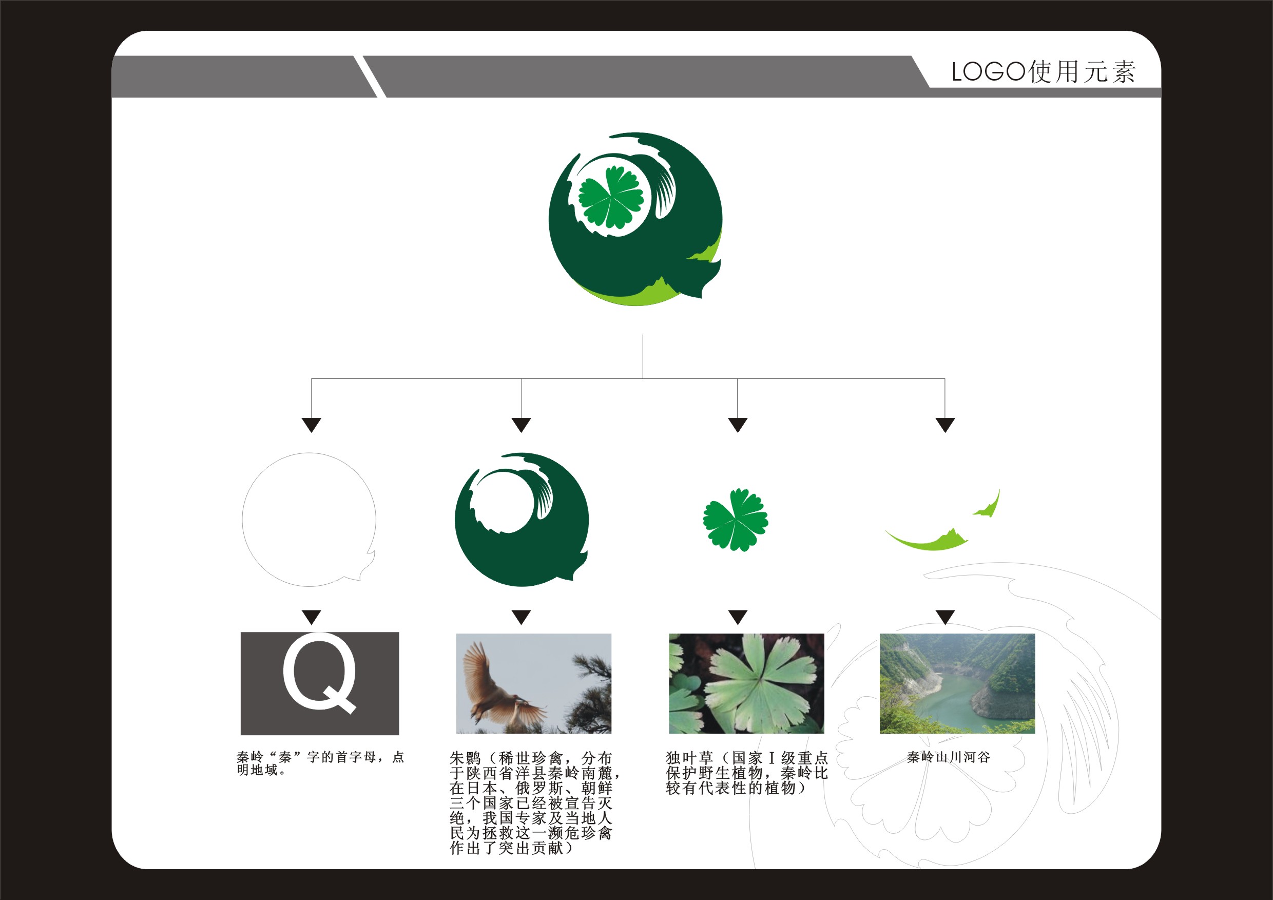 秦岭国家植物园logo及部分vi设计_2348721_k68威客网